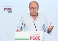 PSOE-A pide a Moreno que explique "en qué consiste el acuerdo" que ha llevado a la moción de censura en Marbella
