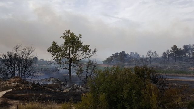 Incendio de Vinaixa (Lleida)