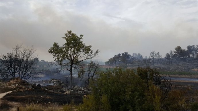 Incendi de Vinaixa (Lleida)