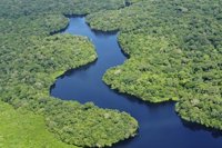 El Gobierno de Brasil emitirá un nuevo decreto sobre la minería en el bosque del Amazonas tras múltiples críticas