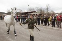 87.500 euros para atender los caballos del centro militar de Mazcuerras