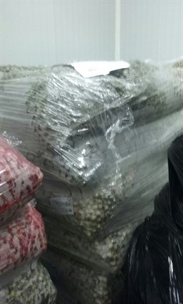 Berberecho decomisado en Cambados