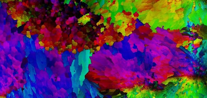 Estudio arrecife de Coral