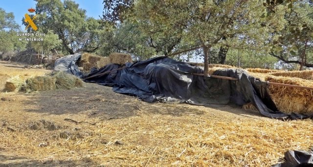 "La Guardia Civil Recupera En Una Finca De Zahinos Mas De 200 Pacas De Heno Sust
