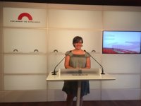 La CUP avisa a JxSí de que las leyes de 'desconexión' deben aprobarse antes de la Diada