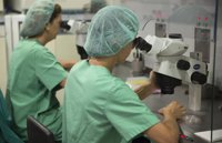 Madrid gastará 16 millones para contratar a 95 investigadores de excelencia que ahora trabajan fuera de España