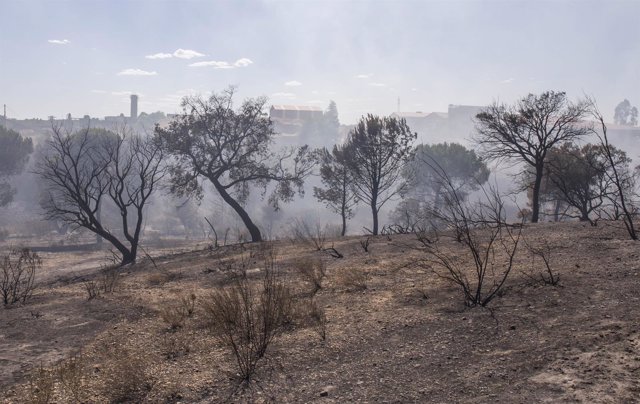 Efectos del incendio en el entorno de Doñana una semana después de declararse