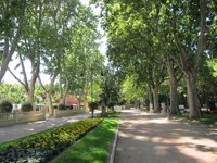 El Ayuntamiento de Huesca cierra una parte del parque Miguel Servet tras la caída de una rama