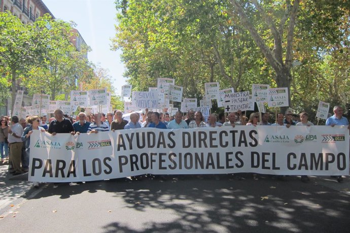 Cabeza de la manifestación de los agricultores