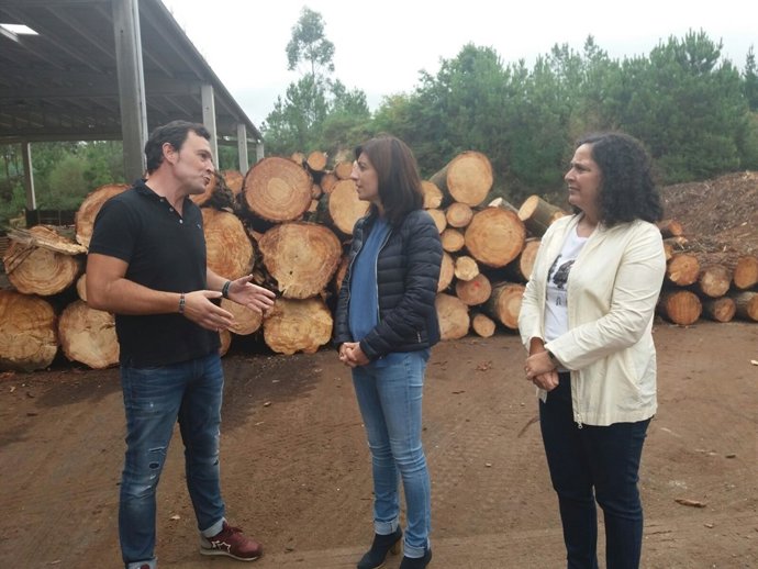 Conselleira do Medio Rural, Ángeles Vázquez