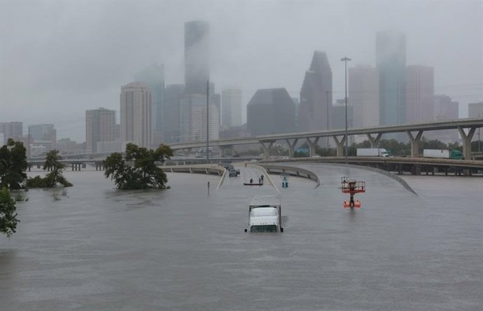 Harvey.