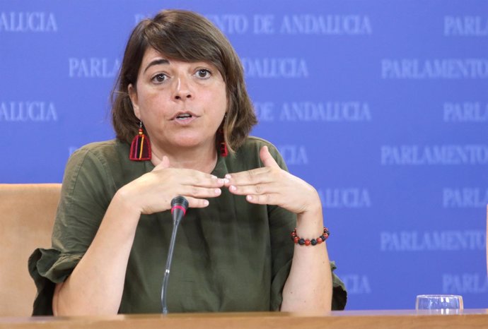 Elena Cortés, de IULV-CA, en el Parlamento