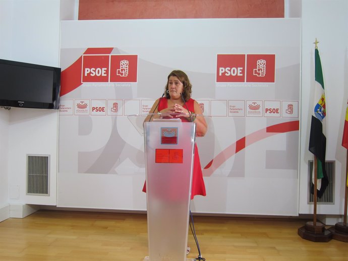                                PSOE En Extremadura