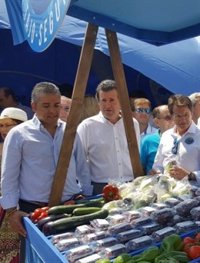 PP se pregunta "quién paga y qué busca el informe irreal y torticero de Greenpeace contra agricultores murcianos"