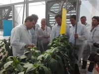 Moreno (PP-A): "Díaz no puede decir que le faltan recursos cuando incrementa el número de altos cargos en la Junta"