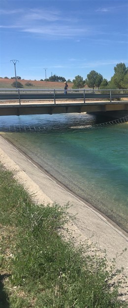 Embalse, trasvase, riego, regadío, agua, canal, Tajo-Segura