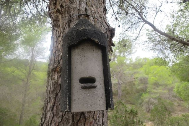 Caja refugio de murciélagos