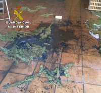 Rescatados y detenidos en Atarfe (Granada) dos jóvenes que quemaron la marihuana que cultivaban al ser descubiertos