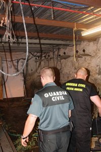 Dos detenidos por cultivar marihuana en un domicilio de Igantzi