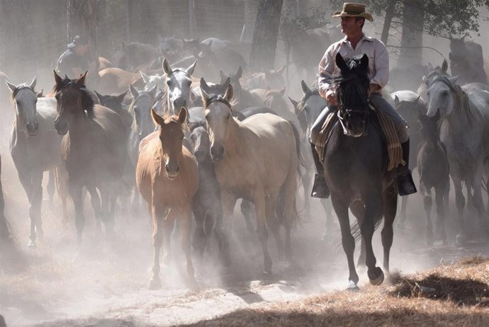 Recogida de las Yeguas de Hinojos (Huelva). 
