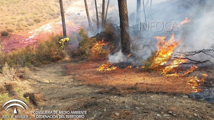 Incendio declarado en Nerva (Huelva)