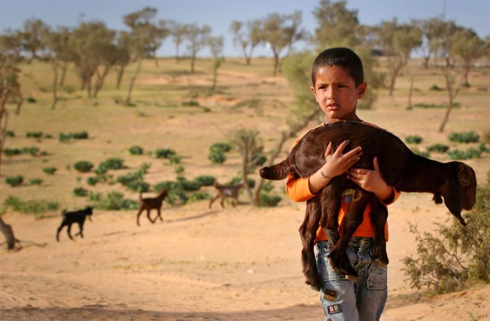 Un niño beduino en el desierto del Neguev, Israel