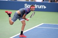 Del Potro elimina a Bautista por la vía rápida