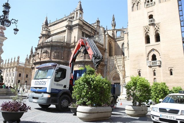 Colocación de macetones en la Plaza Virgen De Los Reyes. 