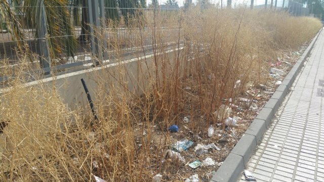 El Ayuntamiento de Jaén pide a la Junta que limpie solares de la capital