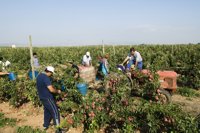 El desempleo bajó en 332 personas en agosto en La Rioja y el número de parados se sitúa en 16.709