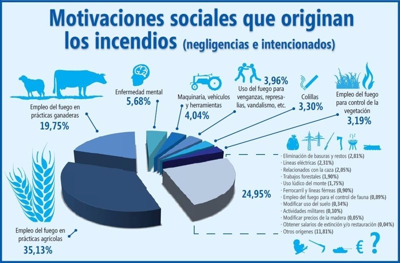 ¿cuáles Son Las Principales Causas De Los Incendios Forestalesemk 5803