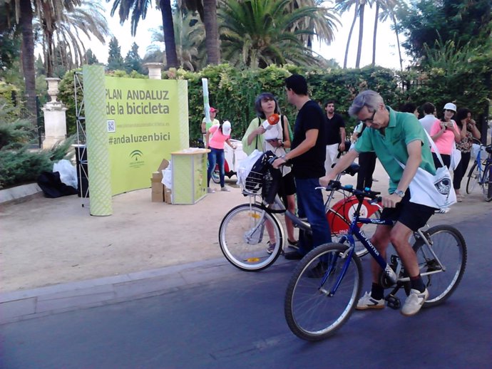 Ciclistas en Sevilla