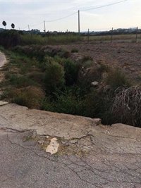 El PP de Sineu culpabiliza a Armengol del "estado de abandono" de los torrentes