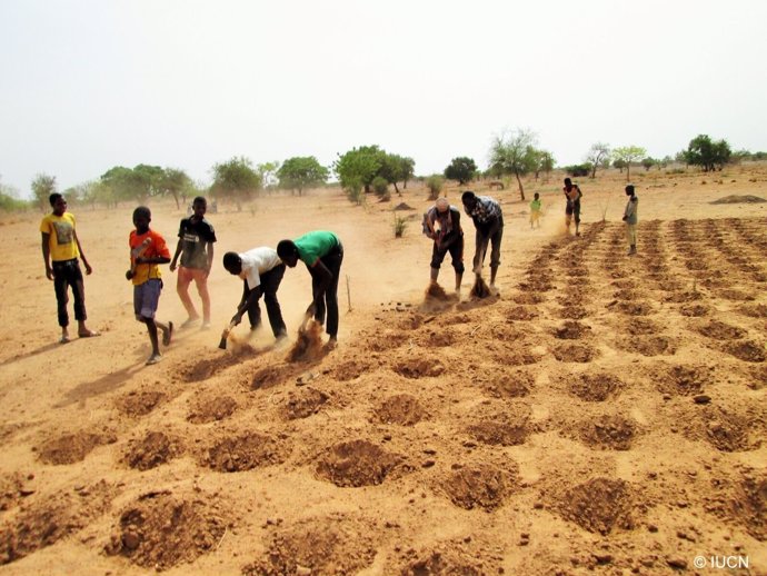 Agricultores preparan el suelo en la villa de Tougou, en Burkina Faso