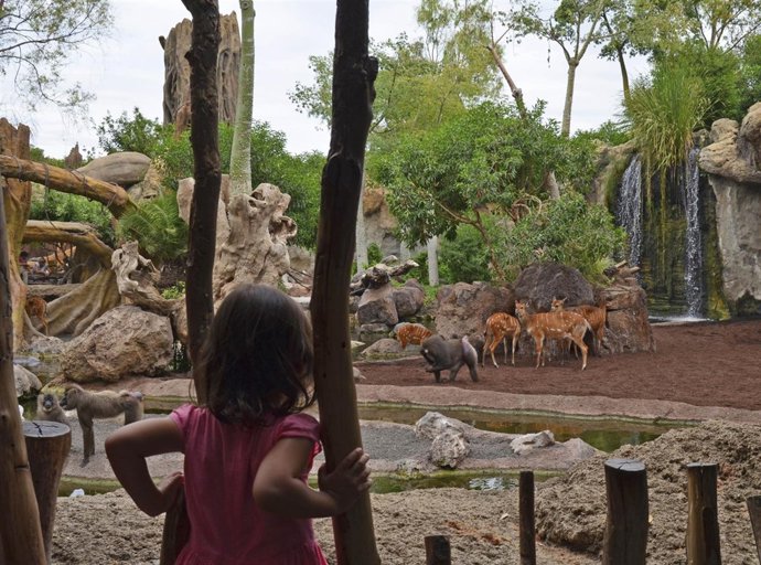 Aumentan un 56% las visitas internacionales a Bioparc