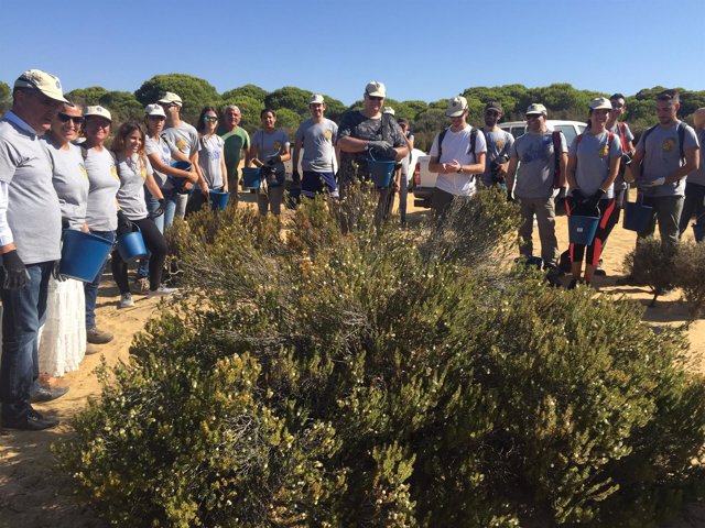 Voluntarios en la zona afectada por el incendio de Moguer.