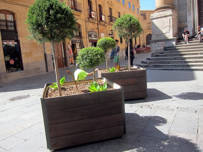 Maceteros de seguridad en Salamanca.                               