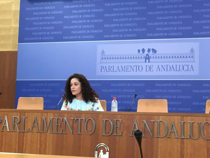 La portavoz adjunta de IU Andalucía Inmaculada Nieto en rueda de prensa