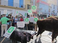 Más de un centenar de ganaderos extremeños reclaman en Mérida medidas contra la tuberculosis bovina y caprina