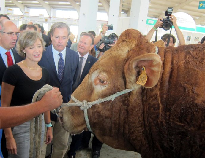 García Tejerina en la inauguración de 'Salamaq 2017'
