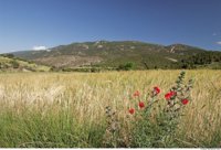 Los hoteles del interior de la Comunitat cierran agosto con una ocupación del 80%