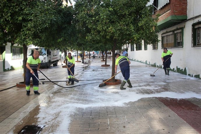 Plan limpieza en Marbella