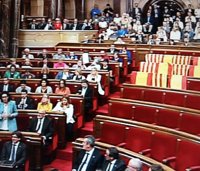 Una diputada de Podem retira del hemiciclo las banderas españolas que la oposición había colocado