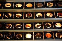 El cambio climático convierte a los parásitos en especies amenazadas