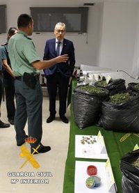 Desmantelado un laboratorio "indoor" de producción de marihuana