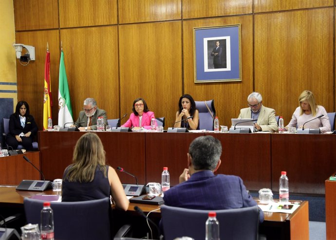 Reunión de la Comisión de Justicia e Interior del Parlamento andaluz