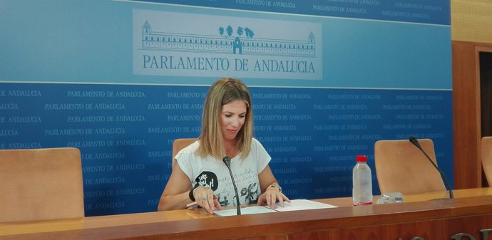 Ana Mestre, hoy ante los medios