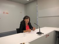Andreu (PSOE) ve "totalmente antidemocrática" la actitud del Parlament y llama al diálogo "para suavizar el choque"