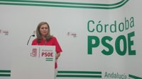 El PSOE-A espera que Moreno (PP-A), tras dejar el Senado, "se centre" en Andalucía y apoye las 35 horas