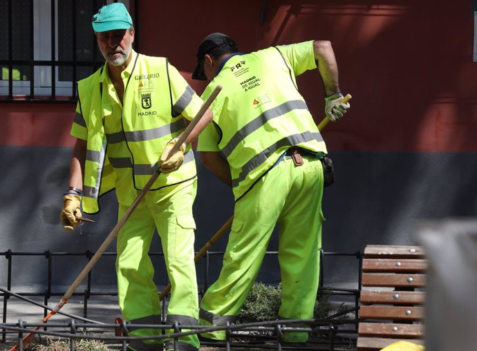 Inserción laboral en el Ayuntamiento de Madrid